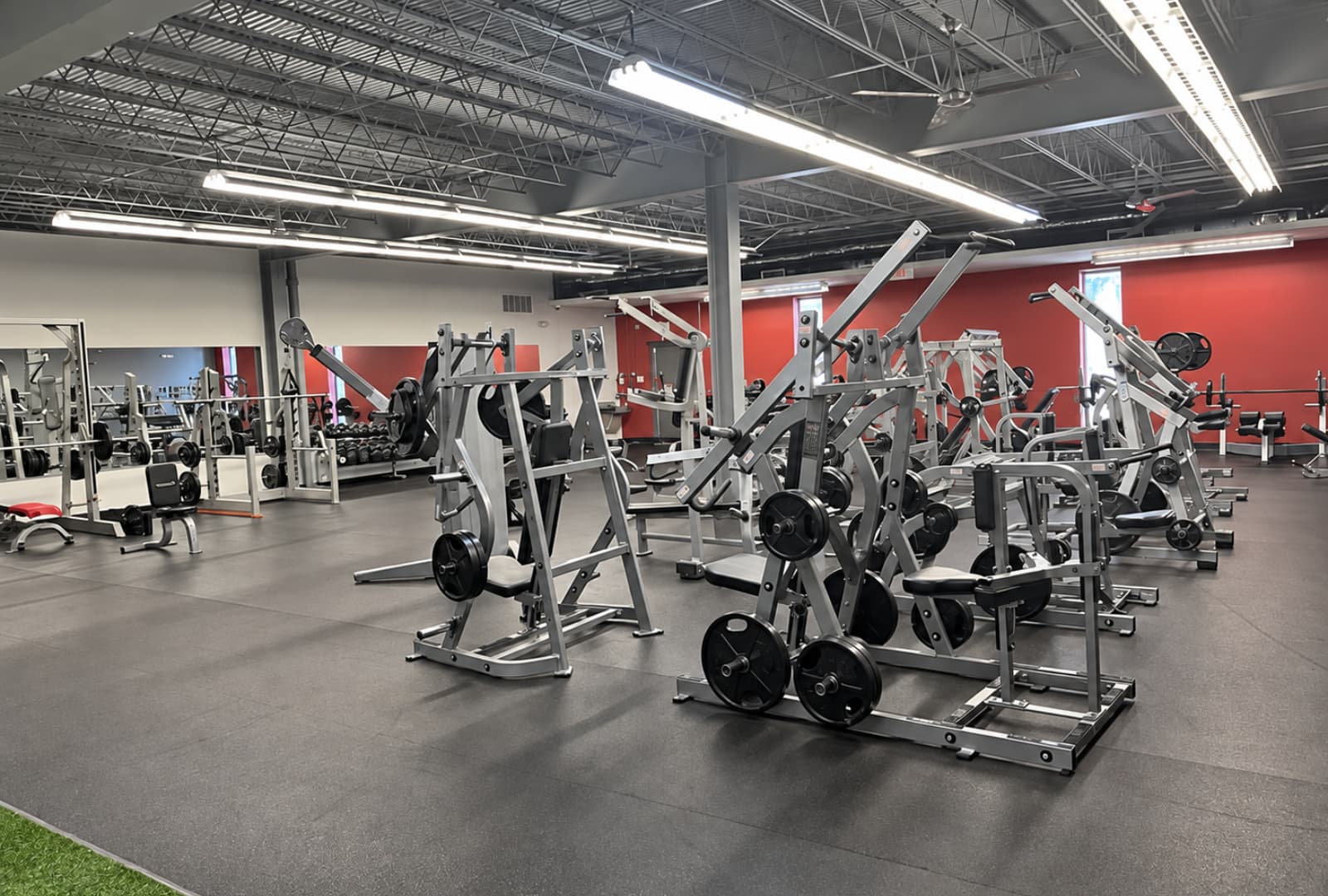 Strength equipment inside Fan Club Health & Fitness Houston Gym
