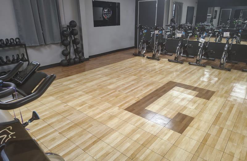 Spin bikes in Fan Club Health and Fitness's Houston gym